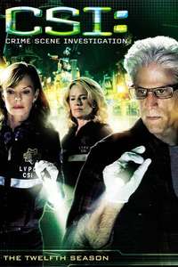 CSI: Crime Scene Investigation - Posters