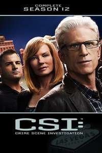 CSI: Crime Scene Investigation - Posters