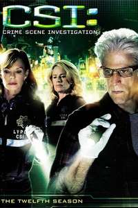 CSI: Crime Scene Investigation - Posters