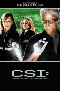 CSI: Crime Scene Investigation - Posters