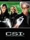 CSI: Crime Scene Investigation : Season 12