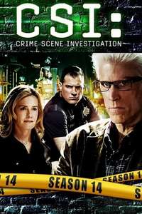 CSI: Crime Scene Investigation - Posters