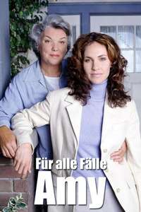 Judging Amy - Posters