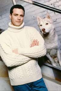 Due South - Poster