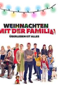 Surviving Christmas - Poster