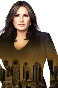 Law & Order: Special Victims Unit - Posters