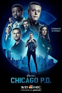 Chicago P.D. - Posters