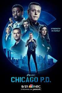 Chicago P.D. - Posters