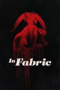 In Fabric - Poster