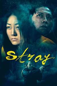 Stray - Poster