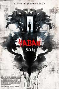 Stray - Poster