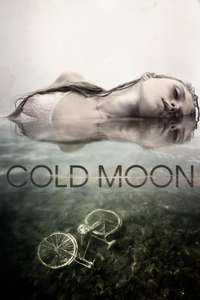 Cold Moon - Poster