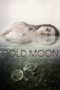 Cold Moon - Poster