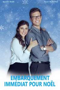 The Flight Before Christmas - Poster