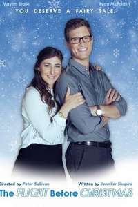 The Flight Before Christmas - Poster