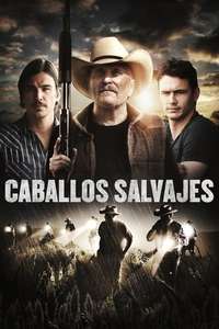 Wild Horses - Poster