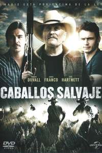 Wild Horses - Poster