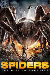 Spiders