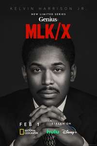 Genius - Posters