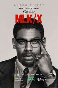 Genius - Posters