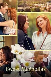 Sweet Magnolias - Posters