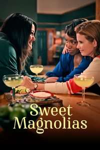 Sweet Magnolias - Posters