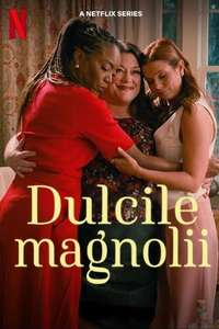 Sweet Magnolias - Posters