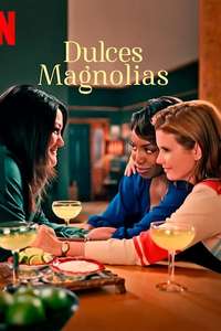 Sweet Magnolias - Posters