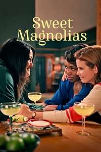 Sweet Magnolias - Posters