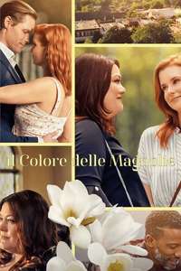 Sweet Magnolias - Posters