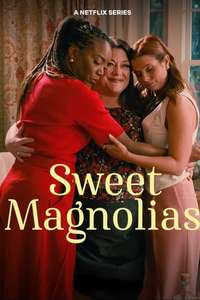 Sweet Magnolias - Posters