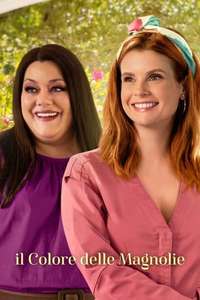 Sweet Magnolias - Posters