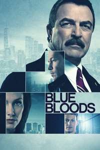 Blue Bloods - Posters