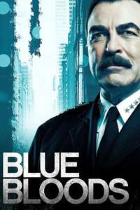 Blue Bloods - Posters
