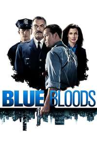 Blue Bloods - Posters