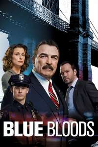 Blue Bloods - Posters