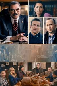 Blue Bloods - Posters
