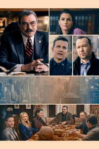 Blue Bloods - Posters