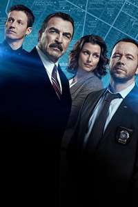Blue Bloods - Posters