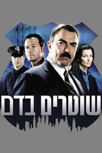 Blue Bloods - Posters