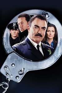 Blue Bloods - Posters