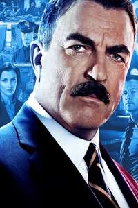 Blue Bloods - Posters
