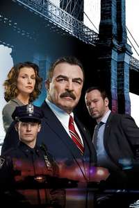 Blue Bloods - Posters