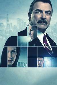 Blue Bloods - Posters