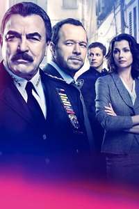 Blue Bloods - Posters