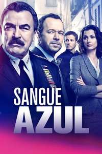 Blue Bloods - Posters