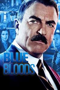 Blue Bloods - Posters