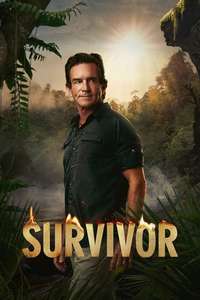 Survivor - Posters