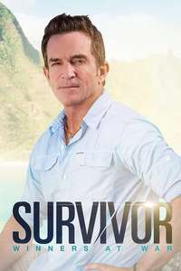 Survivor - Posters