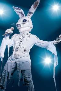 The Masked Singer - Posters